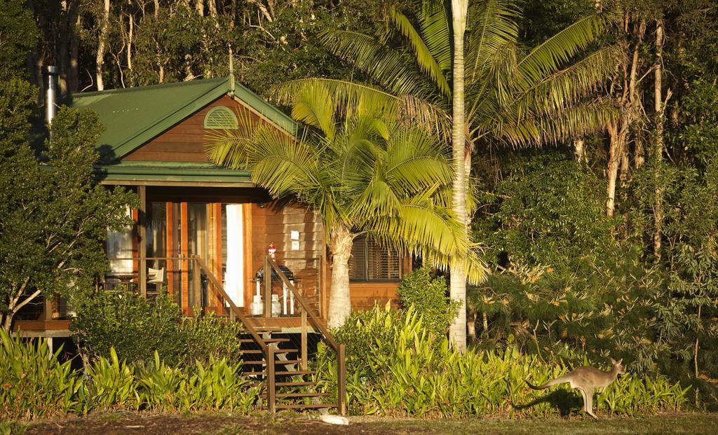 Lake Weyba Cottages Noosa Peregian Beach Exterior photo