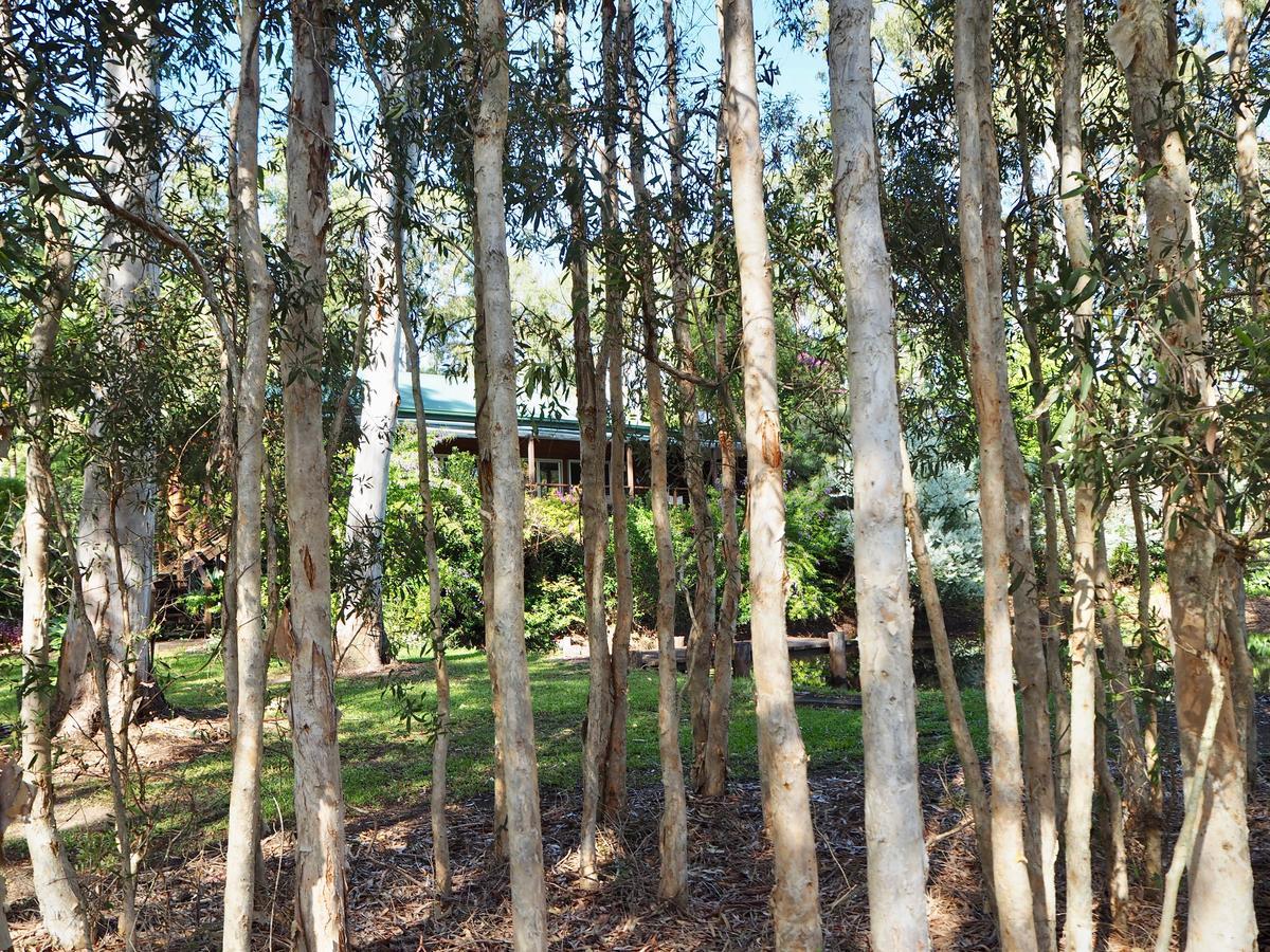 Lake Weyba Cottages Noosa Peregian Beach Exterior photo